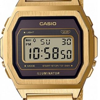 Pánské hodinky Casio A1000MGA-5EF