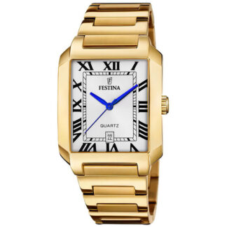 Pánské hodinky Festina F20678/1