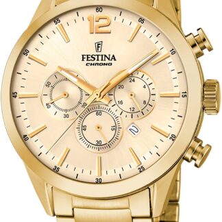 Pánské hodinky Festina F20633/4