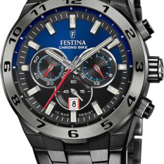 Pánské hodinky Festina F20673/1