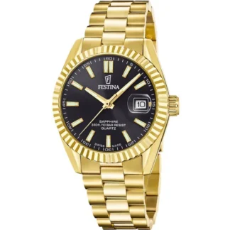 Pánské hodinky Festina F20086/B
