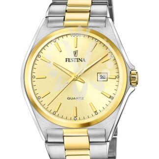 Pánské hodinky Festina F20740/1